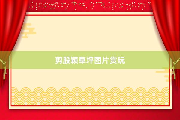 剪股颖草坪图片赏玩